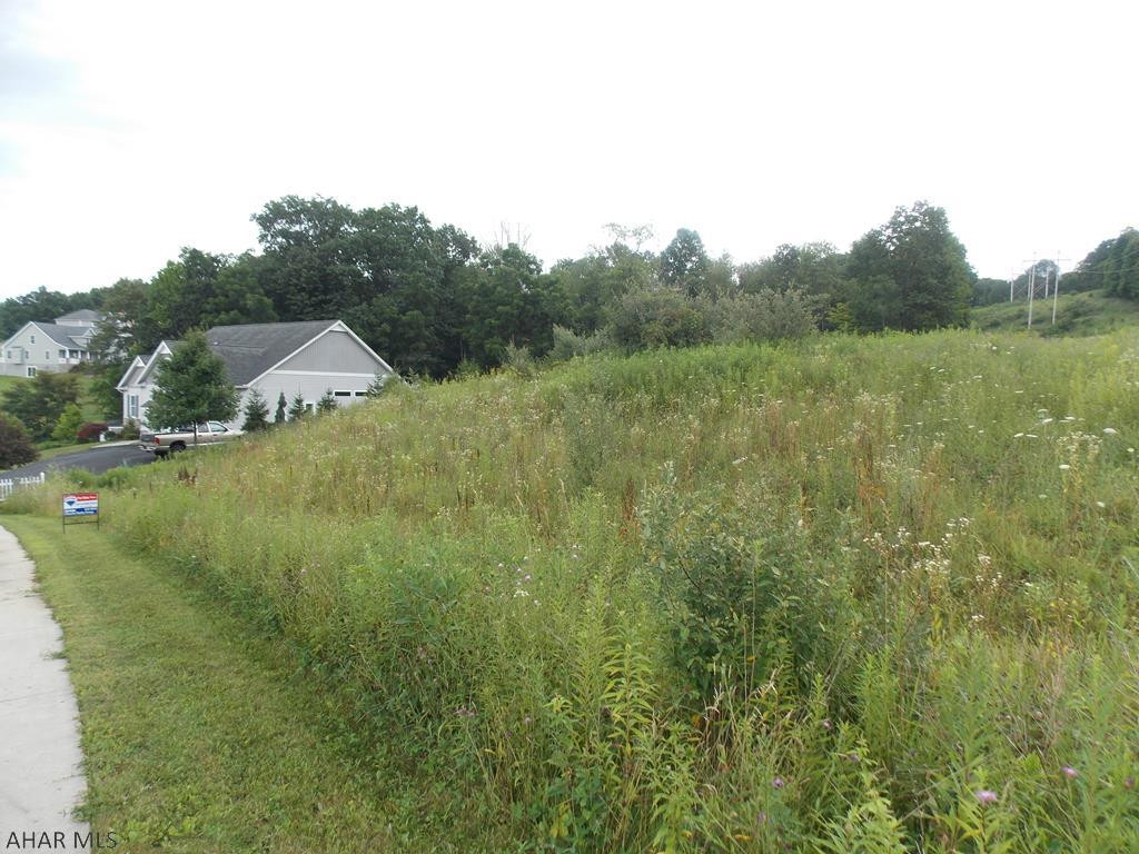 Plan your dream home in Pleasant View Estates.  Lovely development with stunning views, sidewalks and streetlights in Hollidaysburg School District.  Very few lots left, don't wait, give us a call for more info.