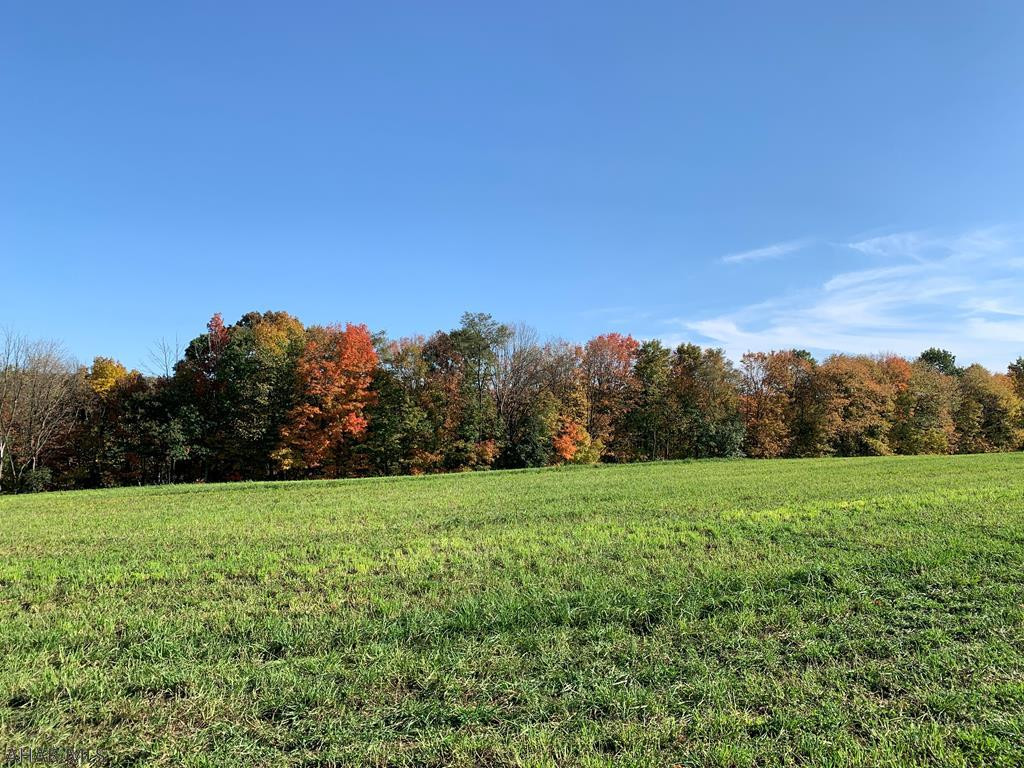 Building lots with breathtaking views on Royer Mountain Road and Evans Road in Woodbury Township, Williamsburg bordering State Game Lands #147.  A total of 4 building lots ranging in size from 2.1 to 42.1 acres. Lot 17 includes a historic 80x50 bank barn built around 1875 with newer roof and well. Murphy Subdivision.