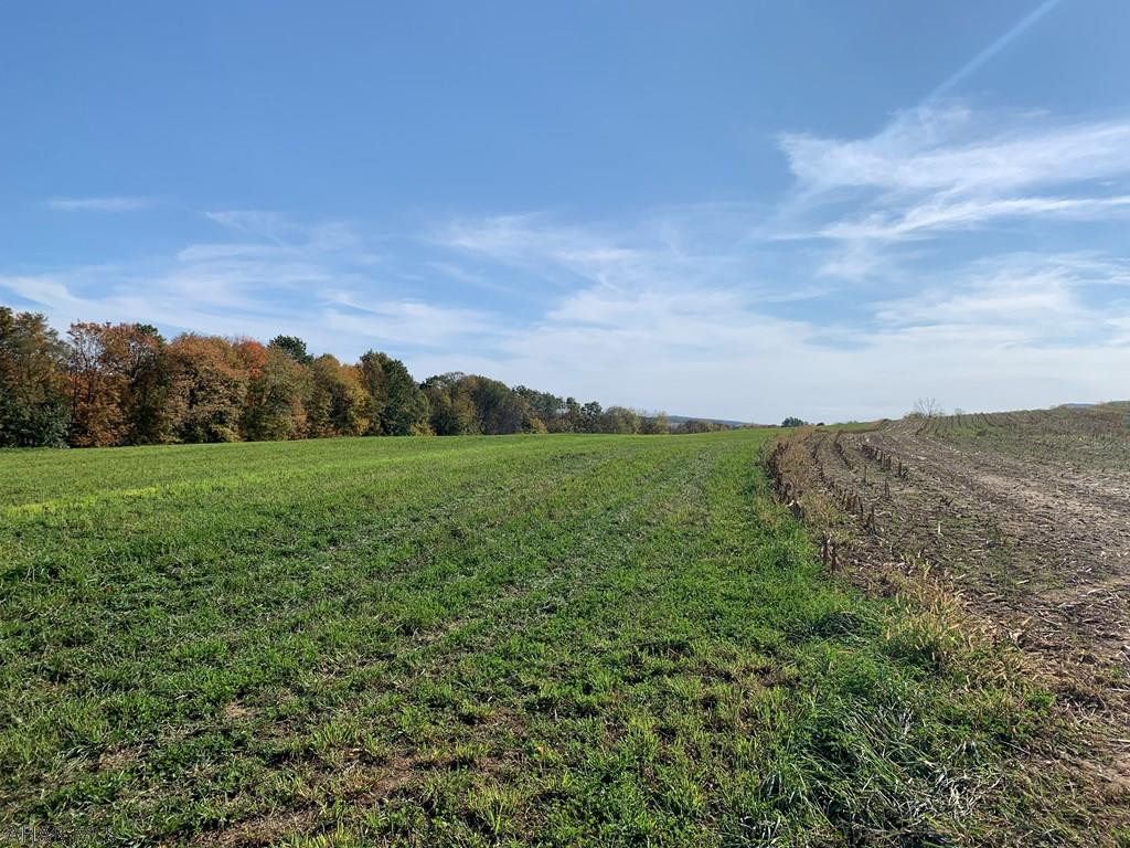 Other - Land