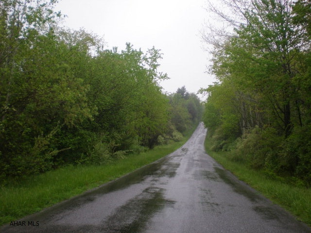 Surface rights only. Wooded land near state game lands and Prince Gallitzin State Park. Township road splits the property.