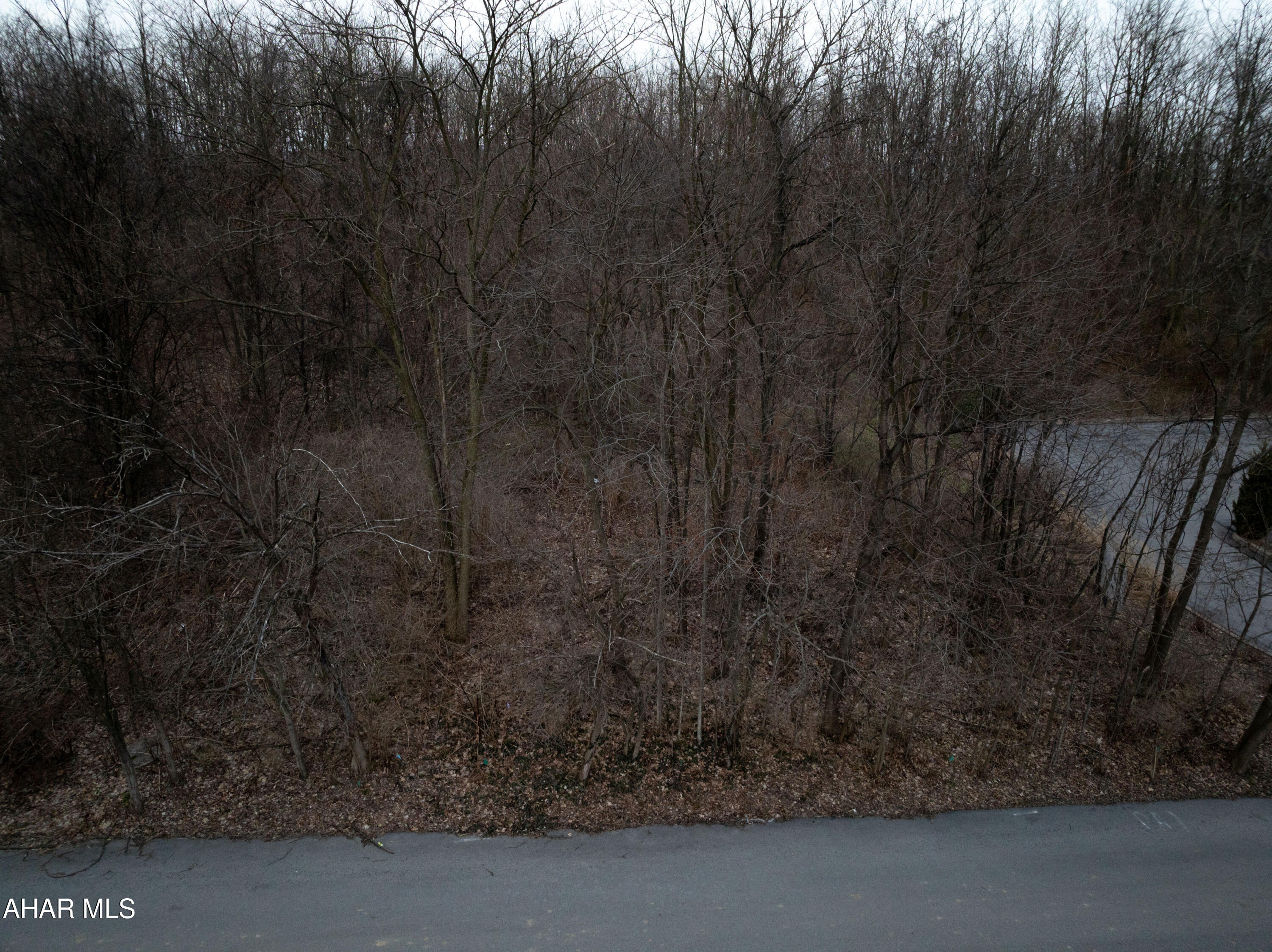 Mansion Park - Land