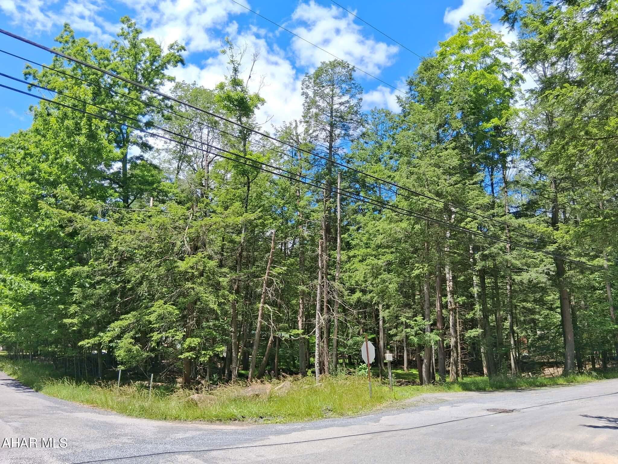 Your cozy Cabin Retreat Starts Here! Escape to the peaceful surroundings of Glendale Year Round with this 0.50-acre corner lot nestled among the trees. This flat, buildable parcel offers an ideal setting for a cozy cabin or weekend retreat where you can relax and enjoy nature year-round.

Located in the welcoming Glendale Year Round community, this property combines privacy with the convenience of a year-round neighborhood. Whether you're dreaming of a quiet getaway or a place to enjoy every season, this beautiful wooded lot is ready for your vision.