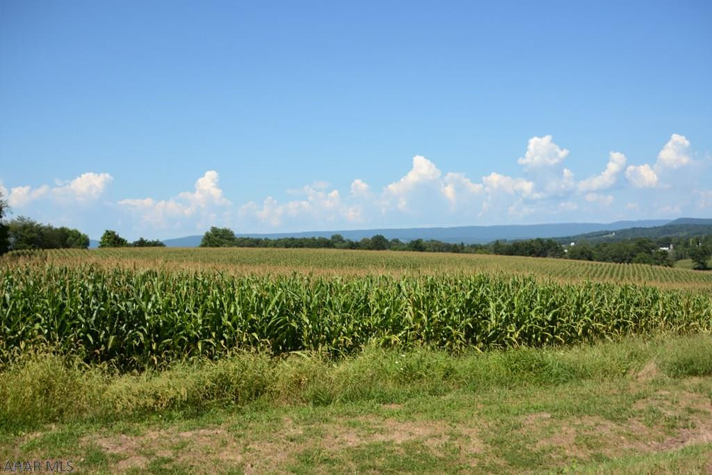 Other - Land