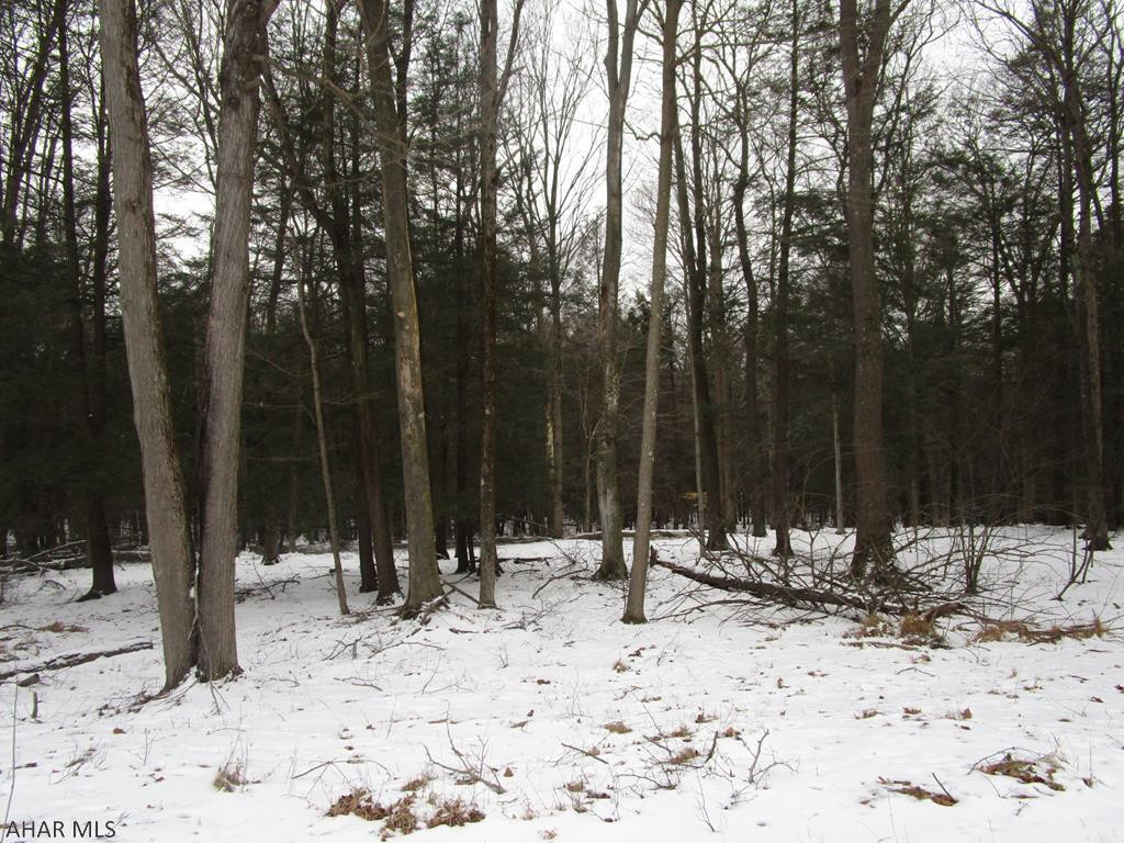 Gorgeous private wooded area for your new home or getaway.  Spacious lot in a country setting but set in a private, gated community that offers recreational amenities.  City water and sewer so no sand mound or well needed.  Development is adjacent to Prince Gallitzin State Park / Glendale Lake for your outdoor enjoyment.   Property Owners Association dues are $555.24 Annually.  This includes security, trash, road maintenance and maintenance of recreational facilities such as the club house, swimming pool, dog park, playgrounds, pavilions, tennis/basketball/volleyball courts, etc.