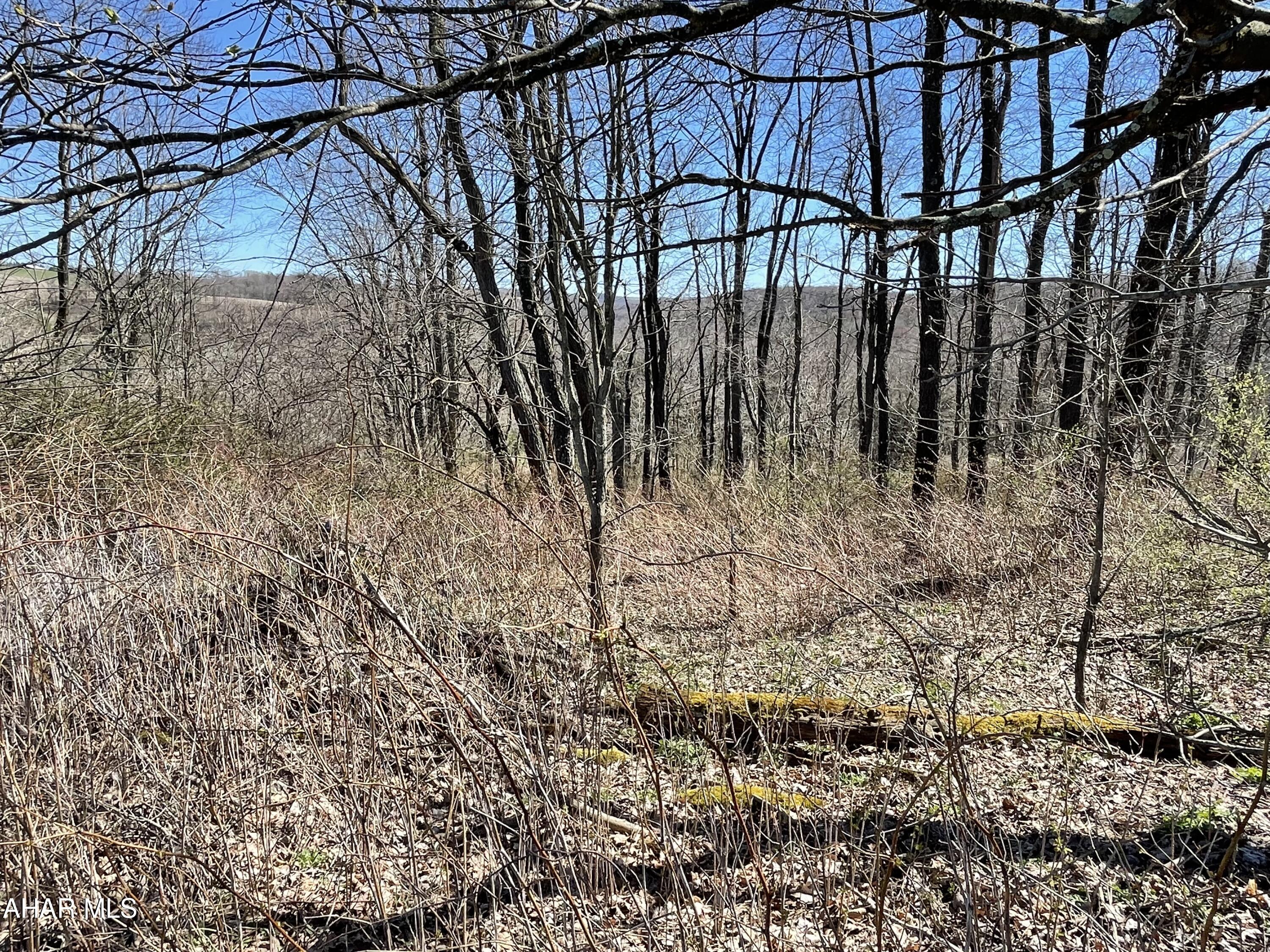 None - Land