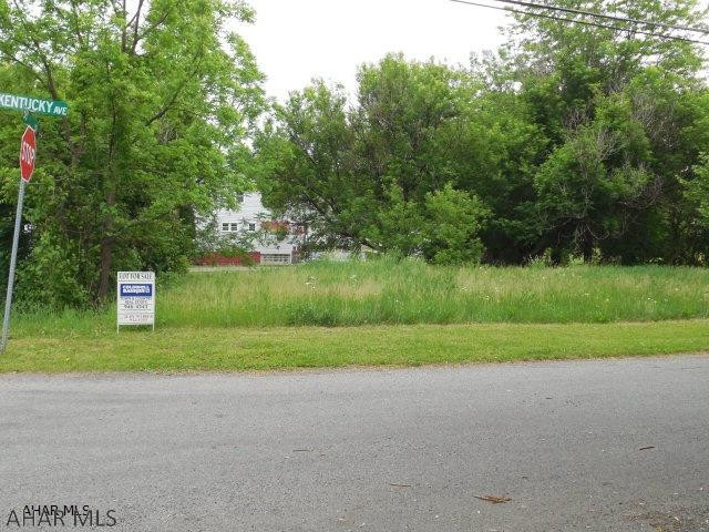 Nice level lot. Convenient location.