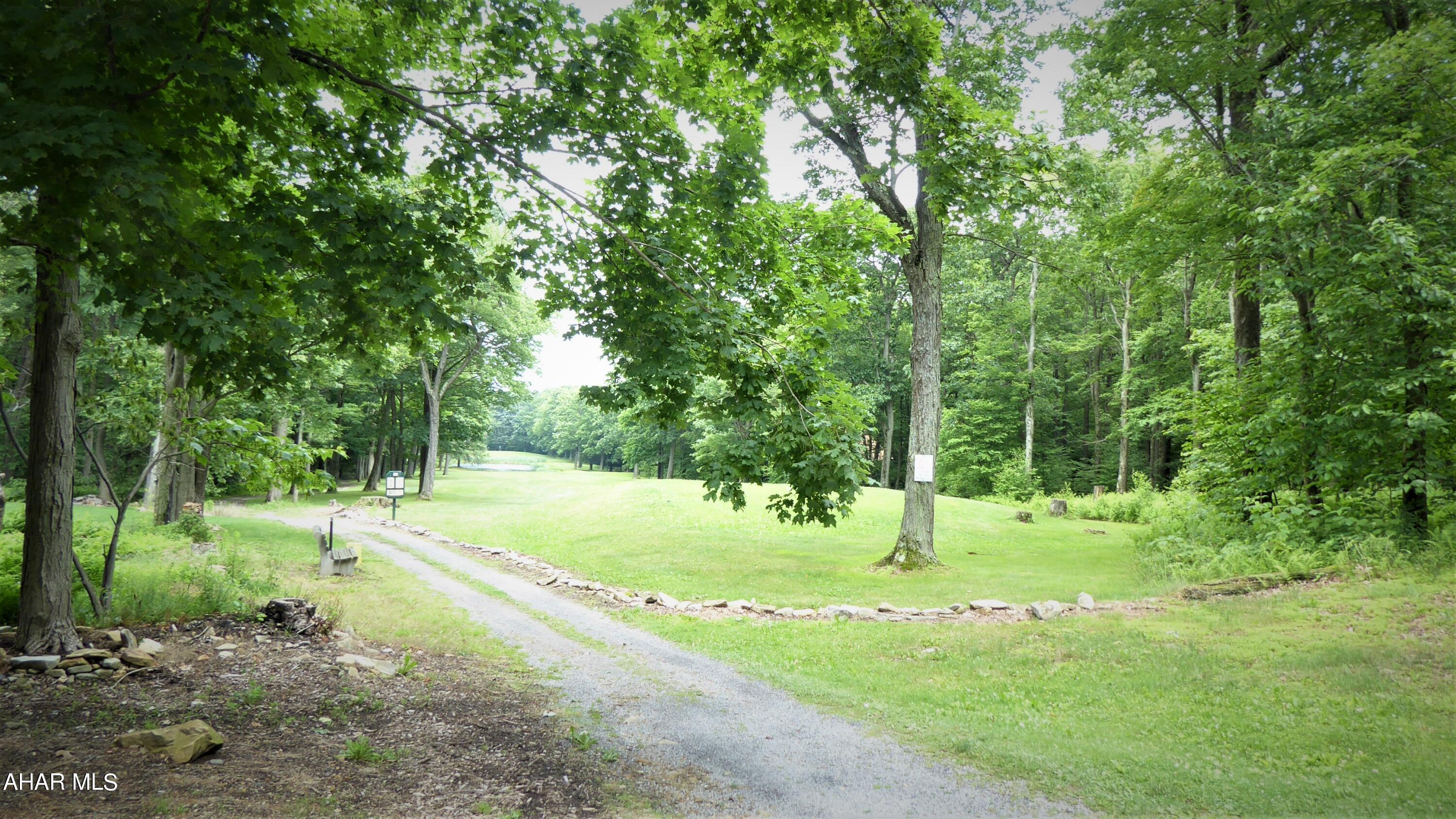 Blue Knob - Land