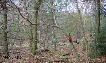 183 wooded acres currently being timbered of all timber and trees 12 inches and larger.  Acreage is near state game lands above Rebersburg Deeded access to game lands..  Great recreational land for hunting, hiking or camping. This property is located approx. 30 miles NE of State College.  Take PA 192 to Rebersburg, turn onto 880 N at top of hill, turn onto Charcoal Lane, property line approx. 1 mile.  Call for details and information.  Possibility of 220 additional acres border this tract and state game lands.  Located in Penns Valley School District.  Timber rights reserved until Oct. 15, 2009. Gas and oil rights do NOT transfer.