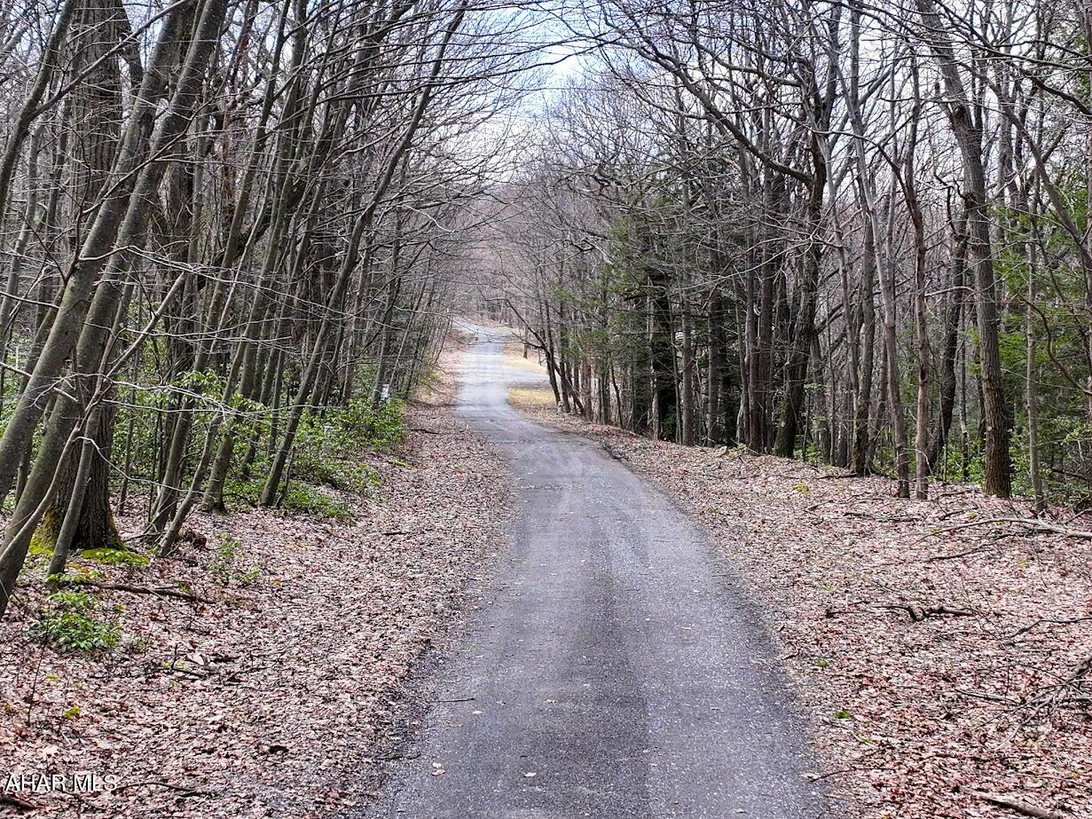 Blue Knob - Land