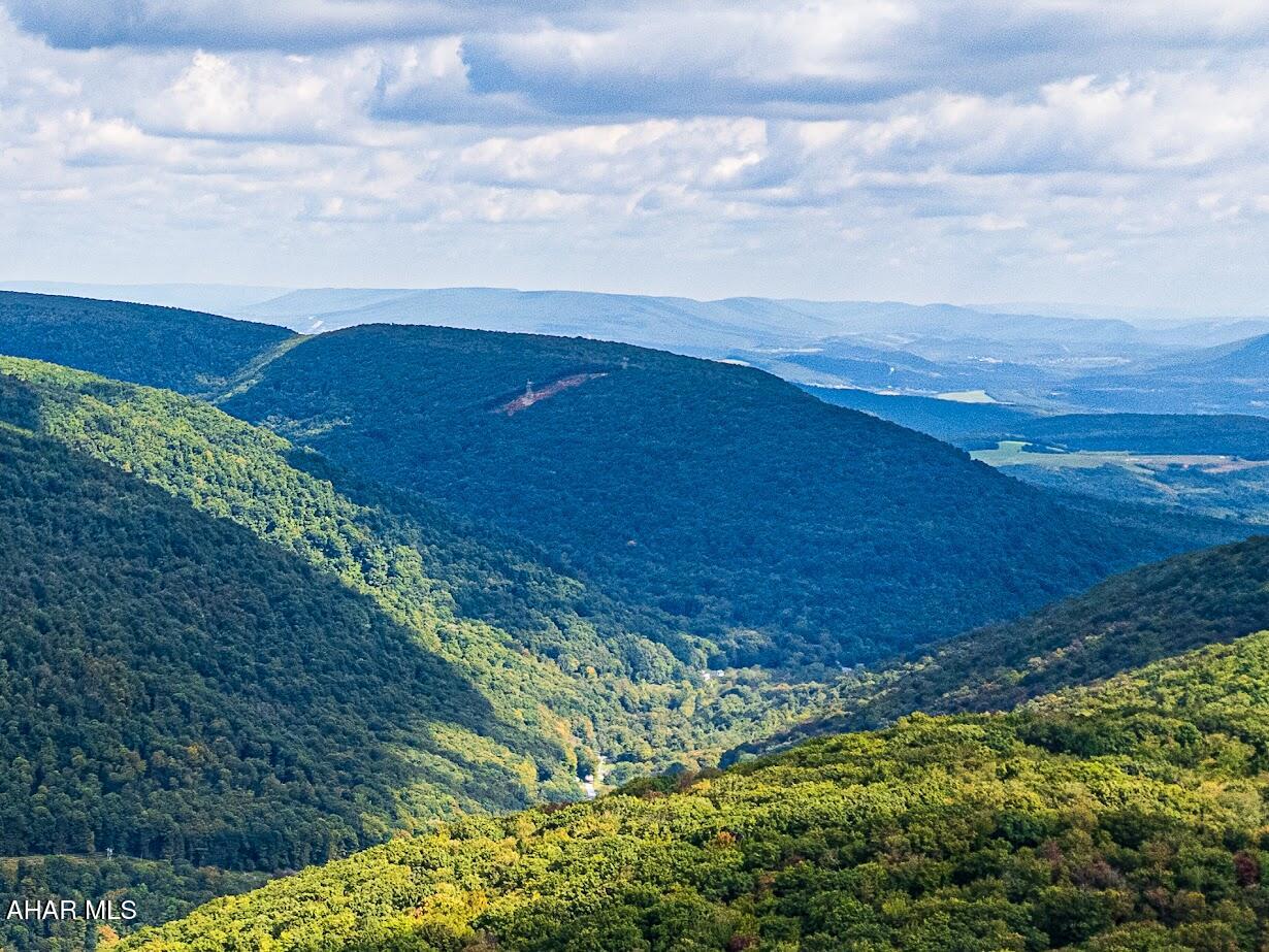 Blue Knob - Land