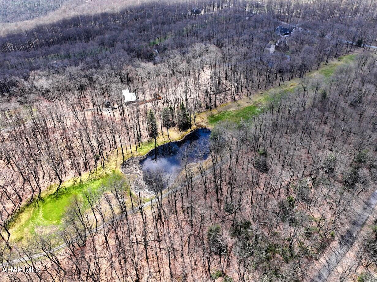 Blue Knob - Land