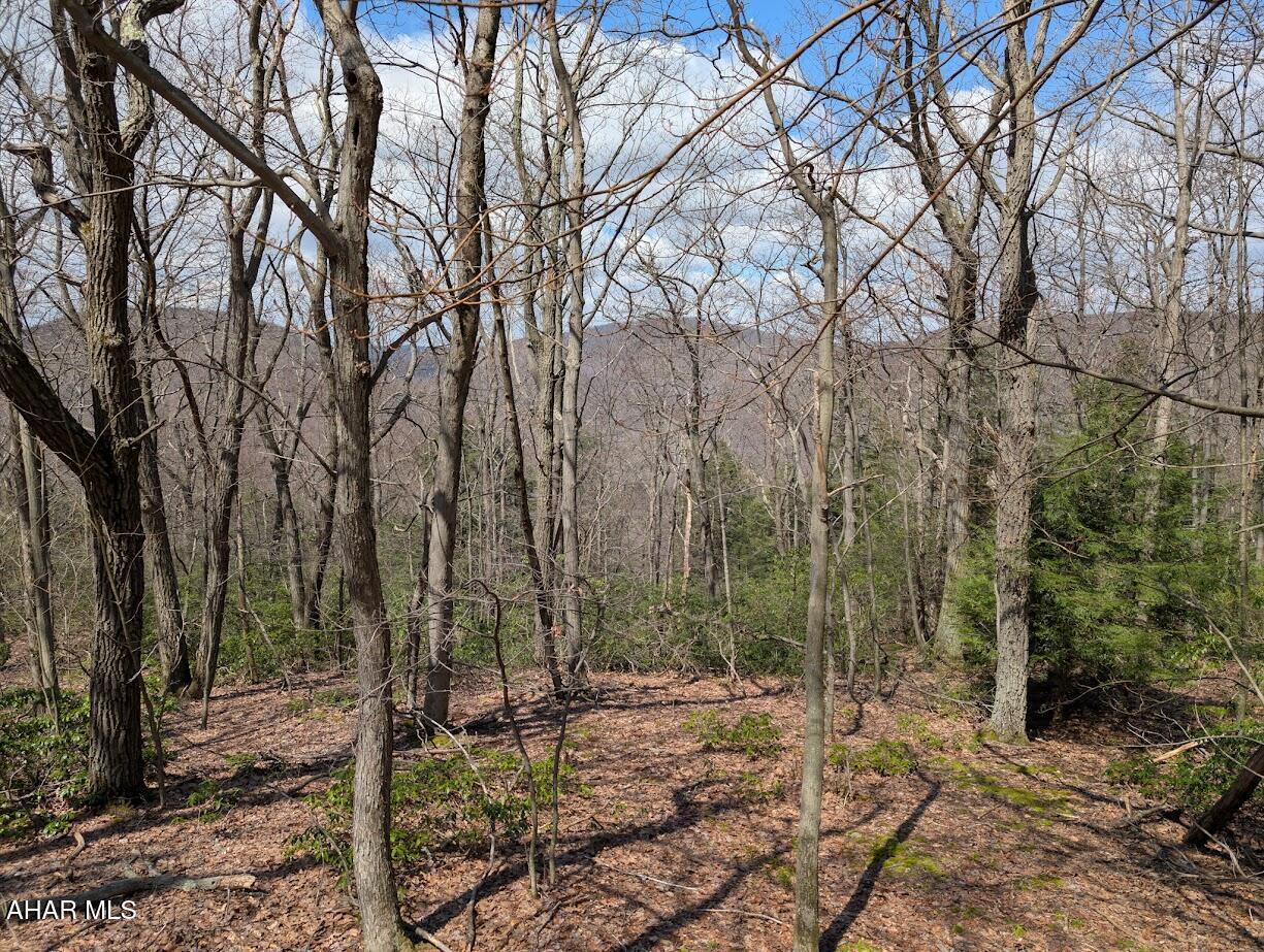 Blue Knob - Land