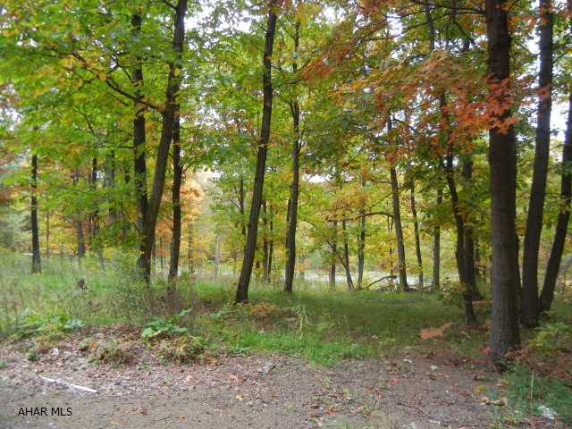 Other - Land