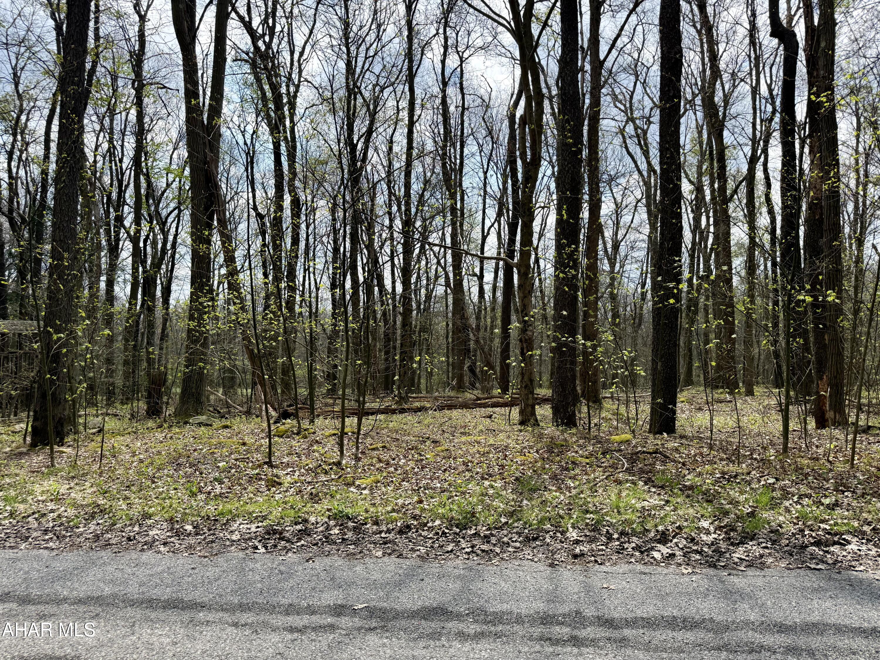 Blue Knob - Land