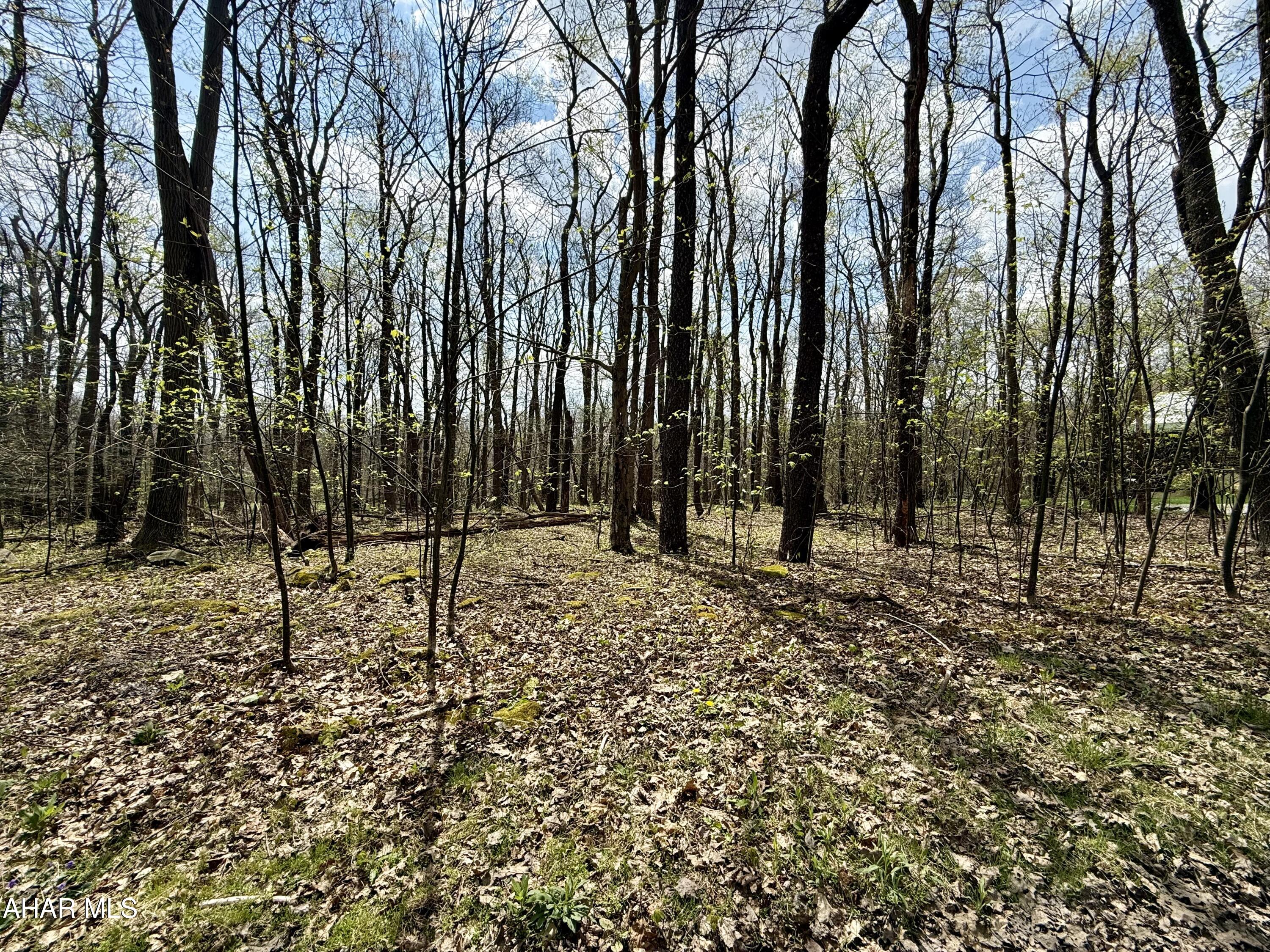 Prime building lot in the beautiful Allegheny Mountains. Perfect for a getaway or your full-time residence. 
  Golf course boarders the back of the lot. 
Water, Sewer and Electric already available on the property. HOA Lot Owners - $125.00 a year Homeowners - $425.00 a year SKA Membership Dues include: Road maintenance Snow plowing of the roads Access to: Dumpsters for trash Outdoor pool Tennis court Biking and hiking trails Clubhouse Bar and Grille (open ski and golf season) Indoor pool, sauna and hot tubs for a reasonable fee. Golf Course for fees posted on blueknob.com Snowshoeing Downhill and Cross-Country Skiing for fees posted on www.blueknob.com Fun, excitement, beauty, activities, wildlife, relaxation - PRICELESS!