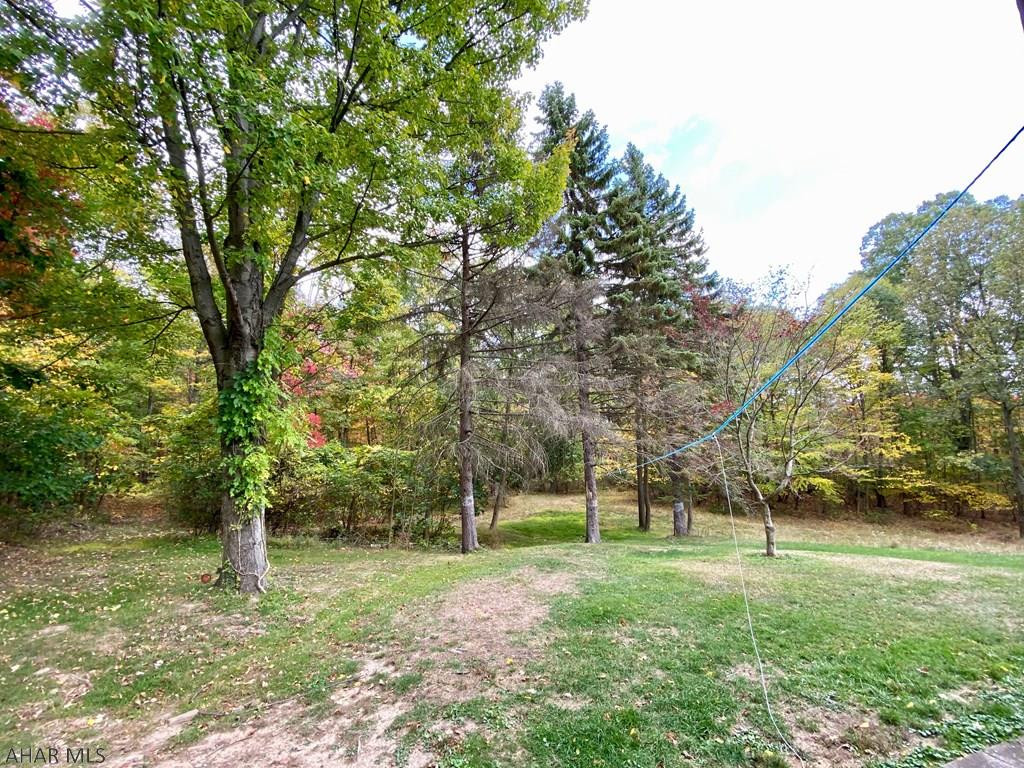 Juniata Gap - Residential