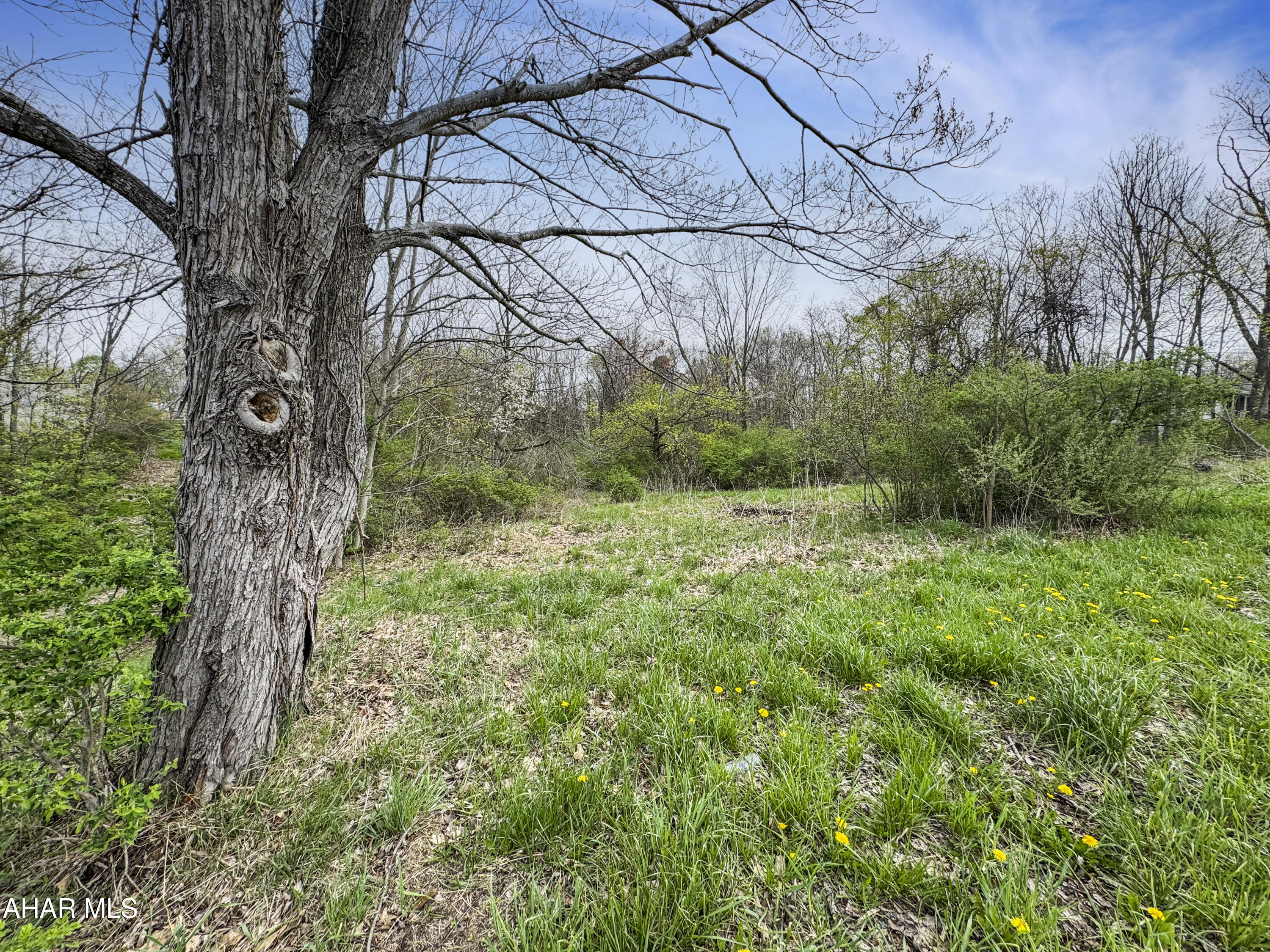 None - Land