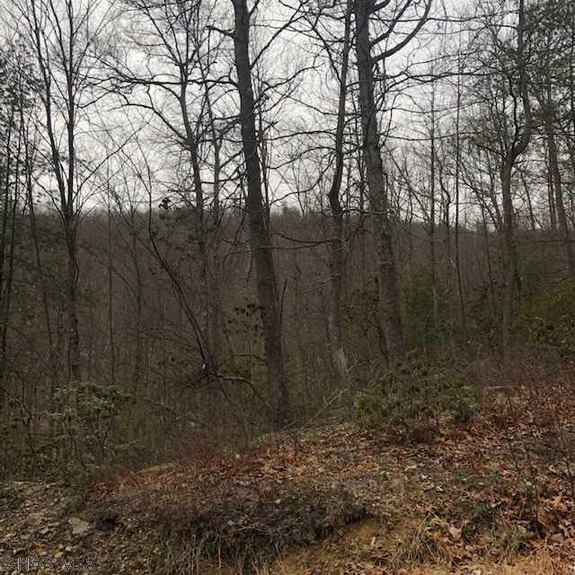 Comp Purpose Only.  Vacant-steep mountain ground