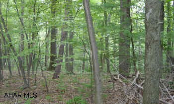 4.977 wooded acres in Mifflin County