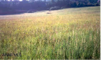 Ground needs Well & Septic