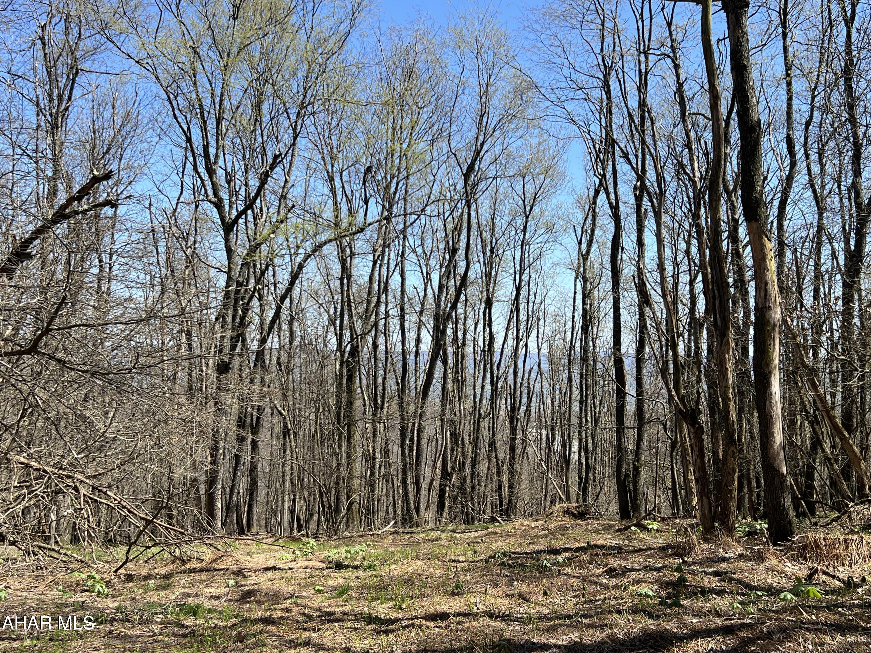 Nice wooded 5+/- acre lot to build your dream home or weekend getaway offering beautiful views of the mountains! Located near State Game lands, Shawnee State Park, Indian Lake, and much more! Property is part of Folmont Property Owner Association.