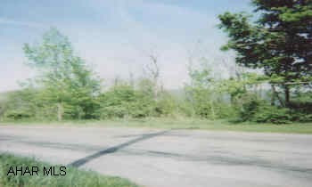Vacant lot approximately 119'x223'.