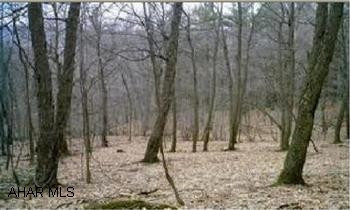 Other - Land