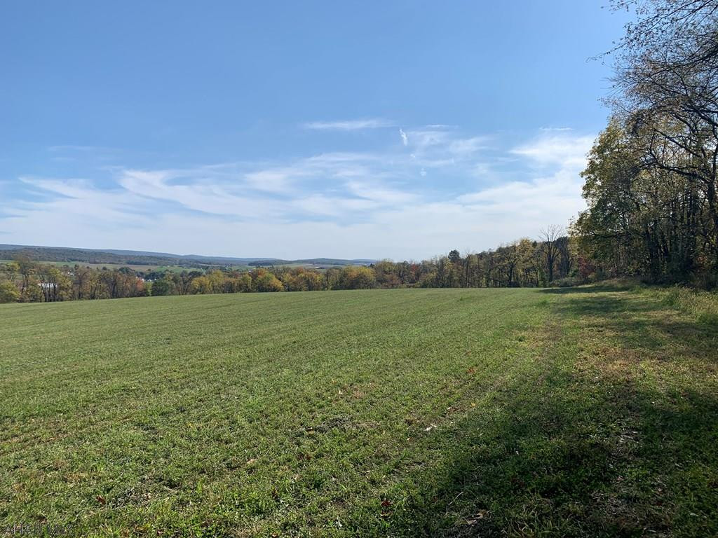 Other - Land