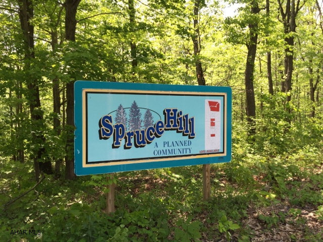 Idyllic acreage with 32' x 20' barn and stream. Heavily wooded with approximately 7 open acres. Lot restrictions do apply. Perc tested on lots 4 & 5.