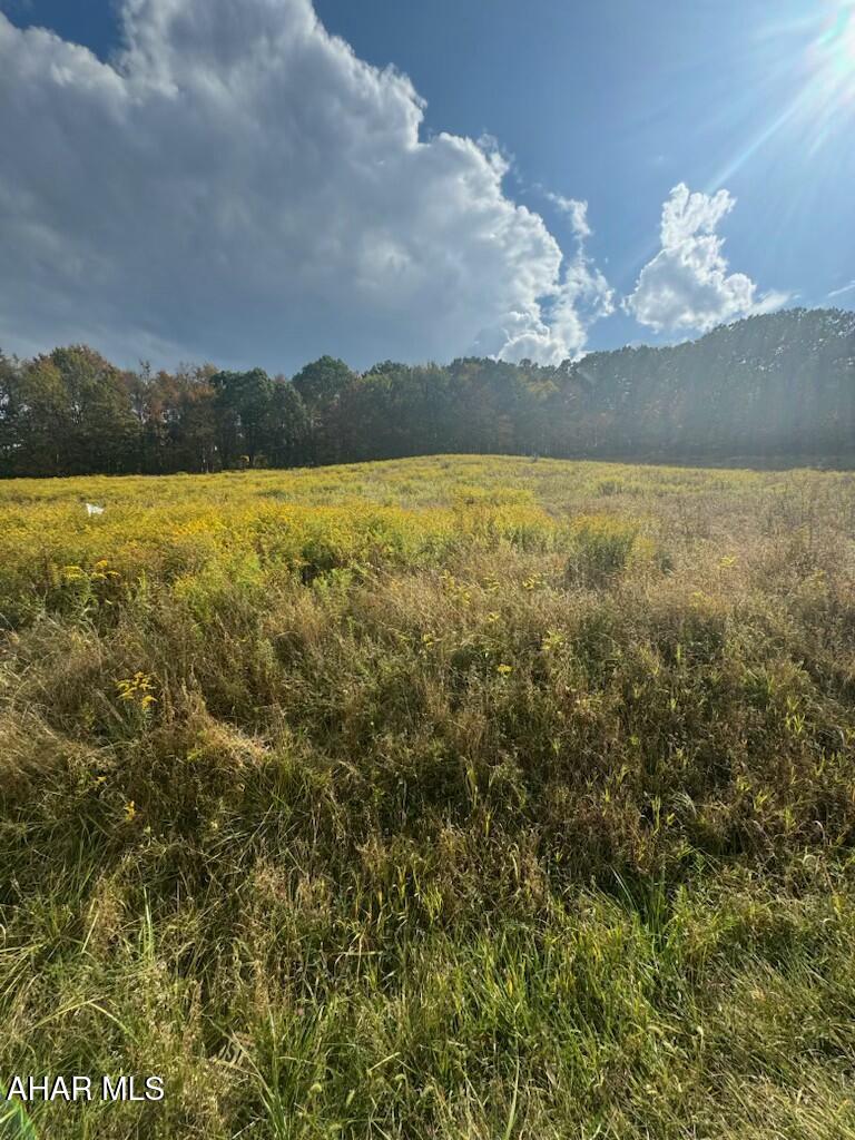 Parcel of land with nice views, PERC approved and ready for your new home. Well will need drilled. Schedule your tour today to see what this lot has to offer!