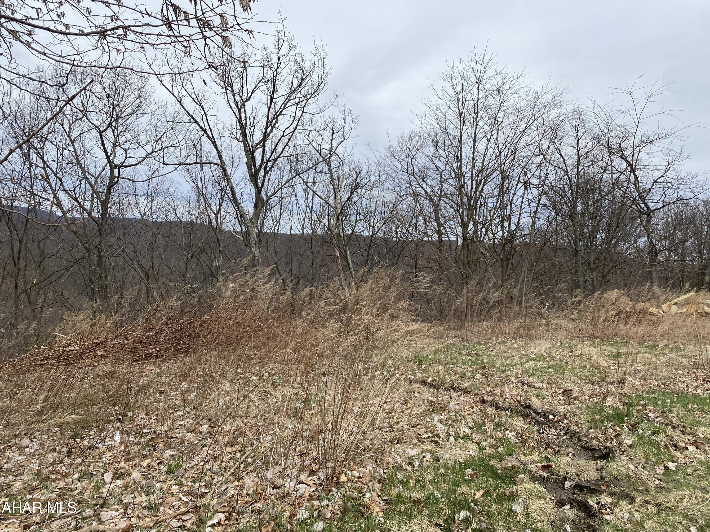 Looking to build your dream home? Look no further! This partially wooded lot with great views is ready for you to build on. Situated on over half of an acre, this lot is close to the Penn State Altoona campus, wooded areas and many other amenities. You won't want to miss out on calling this home!