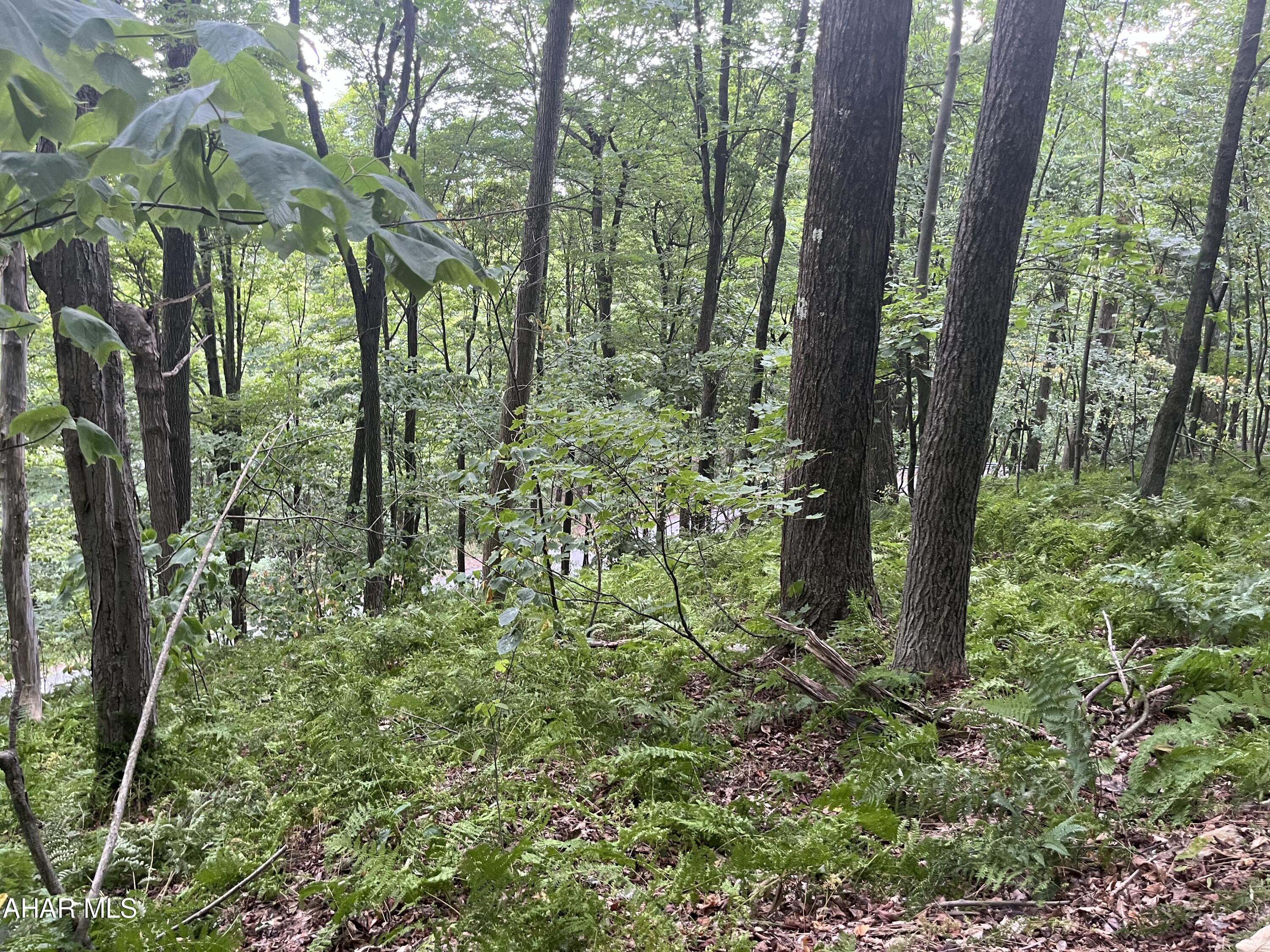 Picturesque mountain retreat in the Allegheny mountains.  Tranquil natural surroundings of blue knob state park. This is the perfect lot for 'off the grid' living but close to all the amenities of the state park.  This is for the nature enthusiasts or someone looking to get away from the hustle and bustle of everyday life.