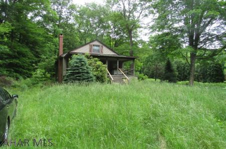 Home needs a few repairs and updating. Vacant for over 3 years. Living room fireplace. Level lot that needs cleaned up. Home needs a furnace.