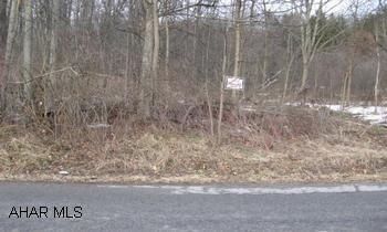Very private home site. Wooded, level to rolling. Perk approved. Access is 50' right of way off Rossman Road.