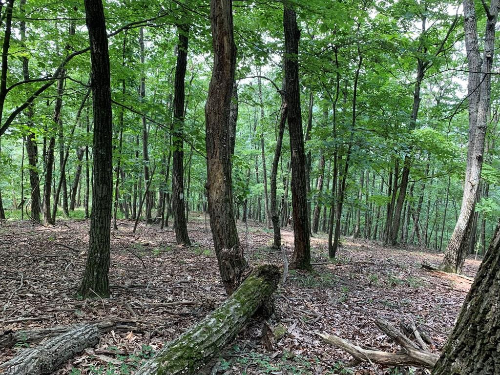 Other - Land