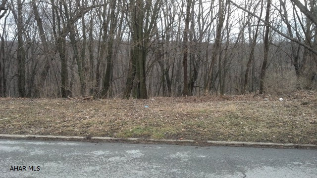 Beautiful building lot. This 150x120 lot features panoramic views of the area. Priced to sell, bring your offers.