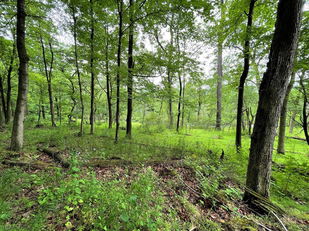 This beautiful land parcel rests atop Juliana Heights and ADJOINS the Omni Bedford Springs Resort!! This is a very rare opportunity to own such a large land parcel so close to the downtown Bedford area. Containing 7.125 acres, wooded with mature trees, and privacy with relaxing views. Perfect building site for your dream home, weekend retreat or multiple building sites. The adjoining Bedford Springs parcel has hiking and mountain biking trails, close to the Heritage Trail, and the downtown area with restaurants and shops.
