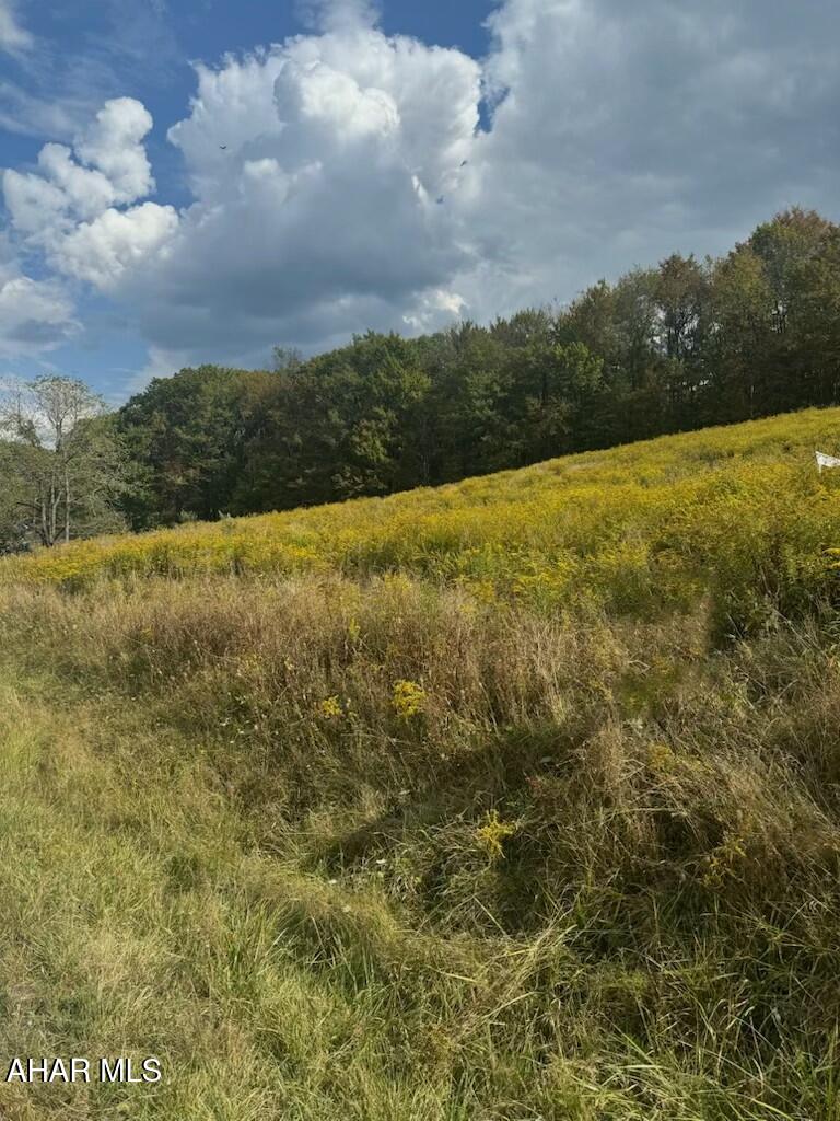 Parcel of land with nice views, PERC approved and ready for your new home. Well will need drilled. Schedule your tour today to see what this lot has to offer!