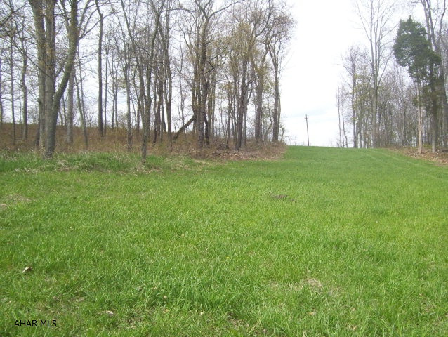 Ideal building ground for primary or secondary residence. Mostly level, serene and peaceful with beautiful views.  Great location.
