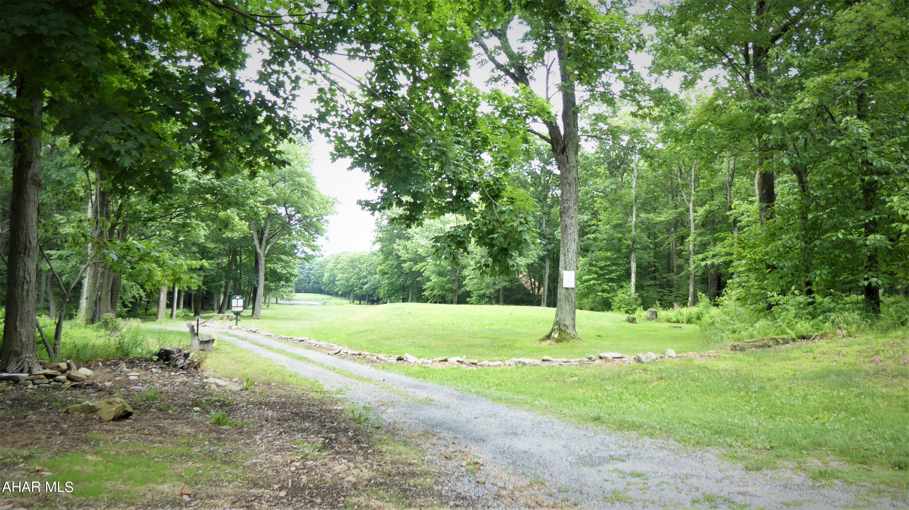 Blue Knob - Land