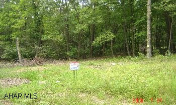 13 Wooded Acres - West Loop Road - Frankstown Township - Hollidaysburg Schools.  Cleared area for home site - Needs well and septic - Perk approved...#17172...$165,000.  Call Janet Burley 814-942-3112. 13 Wooded Acres - West Loop Road - Frankstown Township - Hollidaysburg Schools.  Cleared area for home site - Needs well and septic - Perk approved...#17172...$165,000.  Call Janet Burley 814-942-3112.