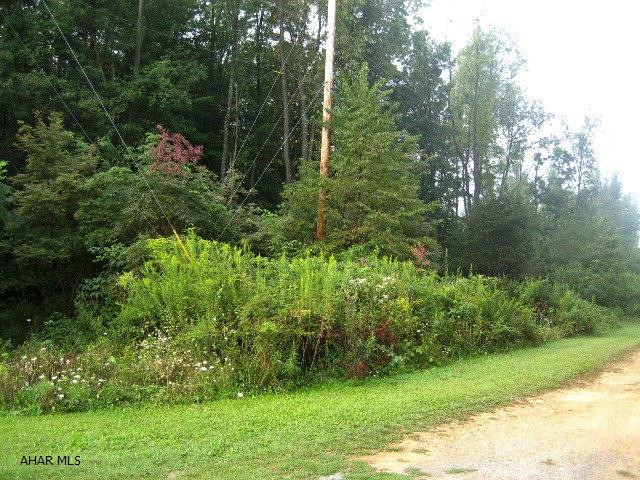 Buildable lot of 2.163 acres with electric, survey and perc approval. Chestnut Ridge school district. Price to sell. What are you waiting for?