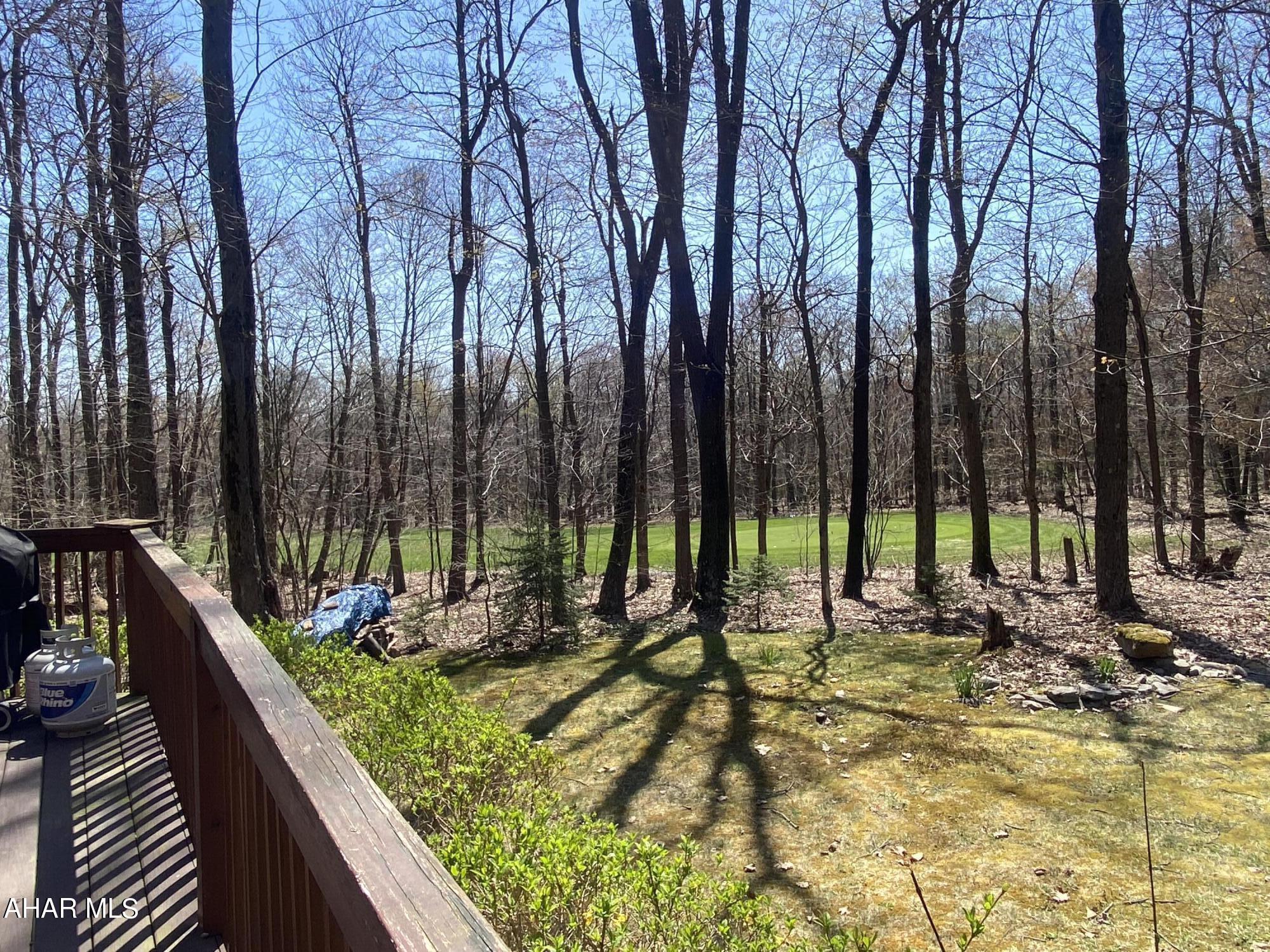 Blue Knob - Residential