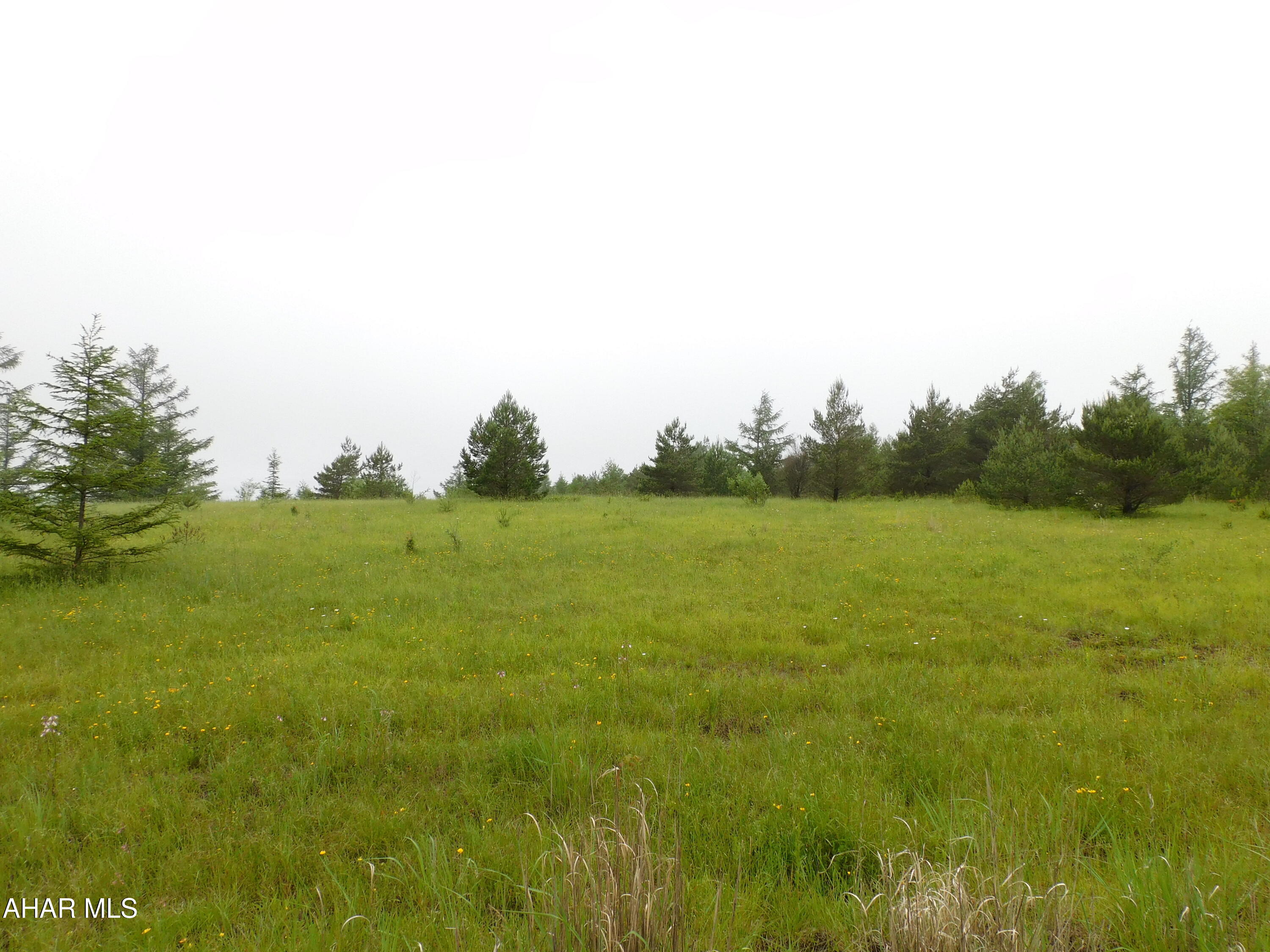 Fantastic parcel of land with 80.7 Acres! Most of the acreage is flat making it very easy to walk. Property is adjacent to State Game Lands 158. Walk right off this property on to State Game Lands.  Would be a great parcel of land for a hunting cabin or new home. Such a great opportunity to own a unique piece of land!