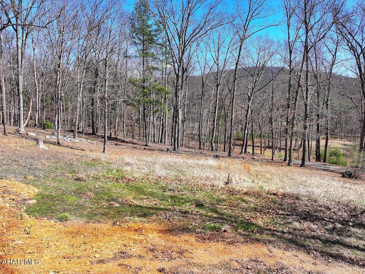 Valentine Acres - Residential