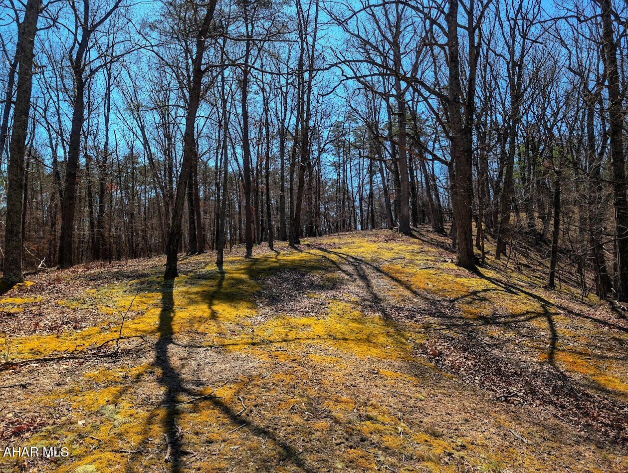 Valentine Acres - Residential