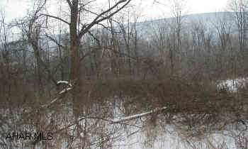 Wooded 10.8 Acres.  Slight slope. Good homesite.