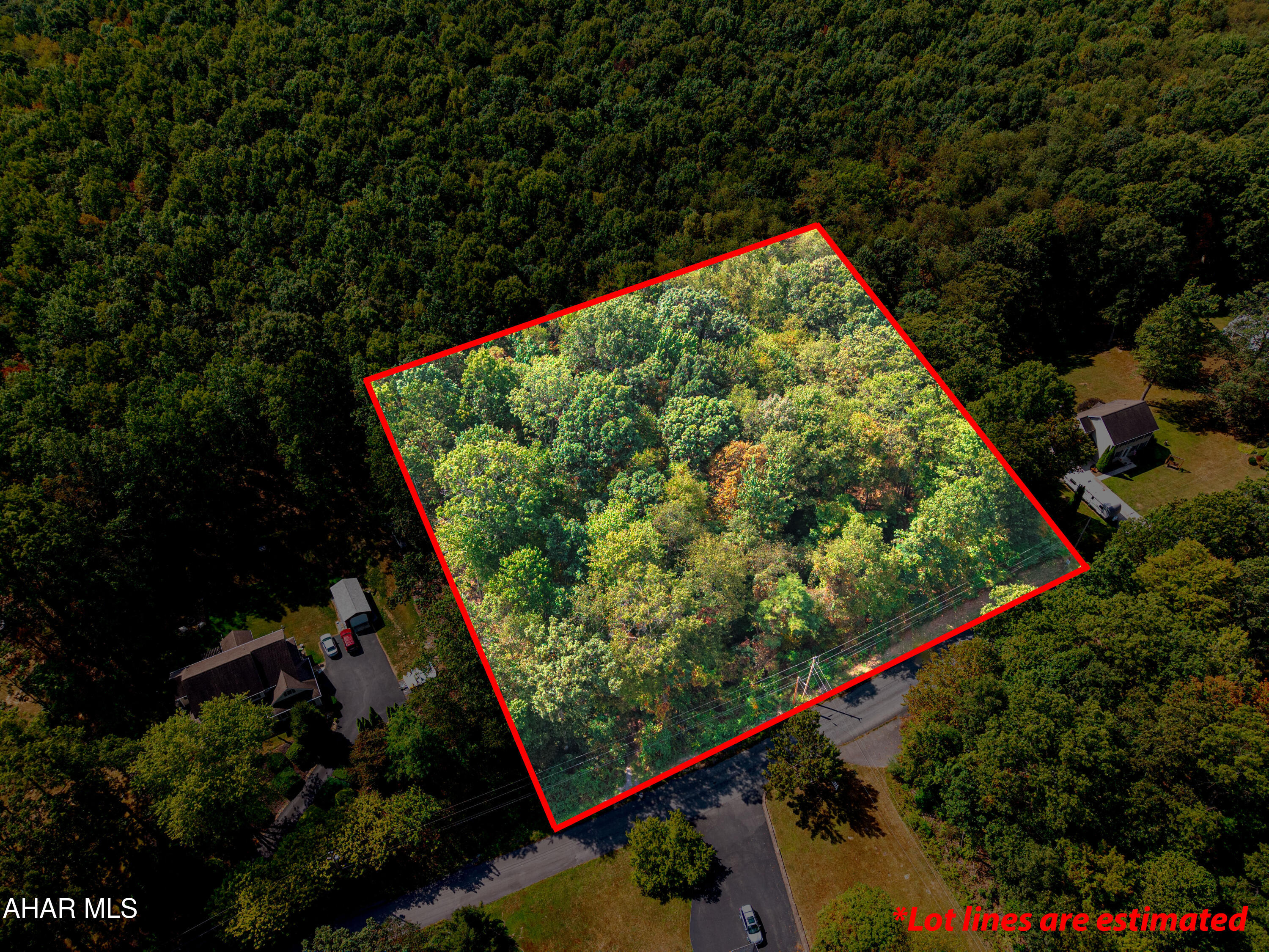 Discover the opportunity to build your dream home on this 1.5-acre wooded lot in the Ridgewood development. The property offers privacy with its natural setting, yet provides the convenience of community living. Public sewer is available, potential buyers are encouraged to confirm with township on the availability of public water. Whether you're looking to create a permanent residence or a getaway retreat, this buildable lot provides the space and flexibility to bring your vision to life.