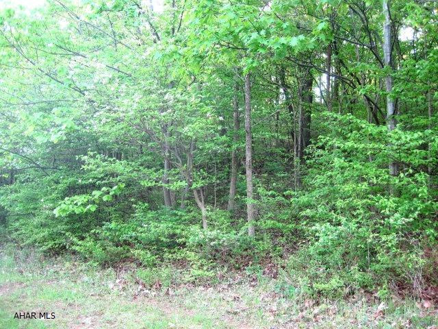 Building lot in the Cove.