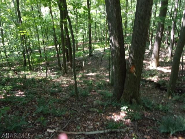 Woodbury - Land